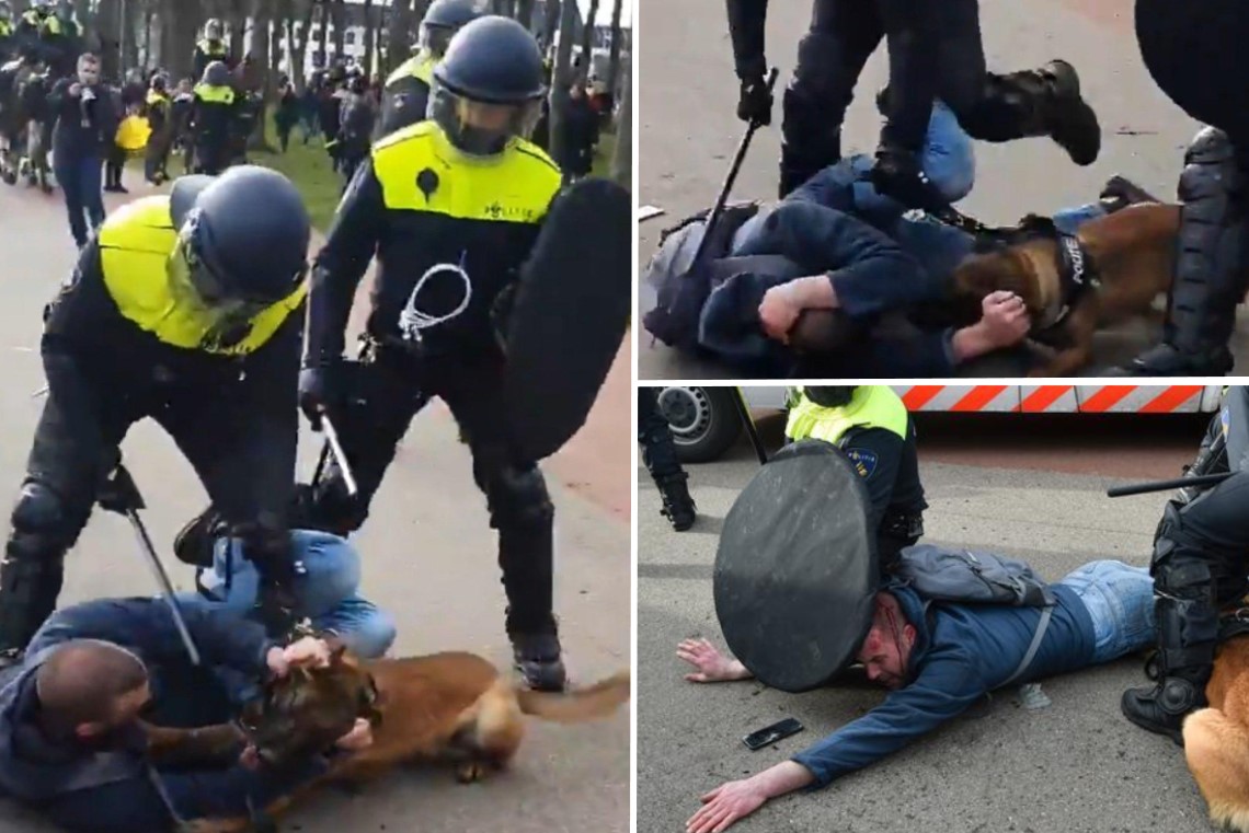 Vrouw komt terecht onder politievoertuig na duw agent in burger: massaal protest na 'politiegeweld' bij coronaprotest in Den Haag