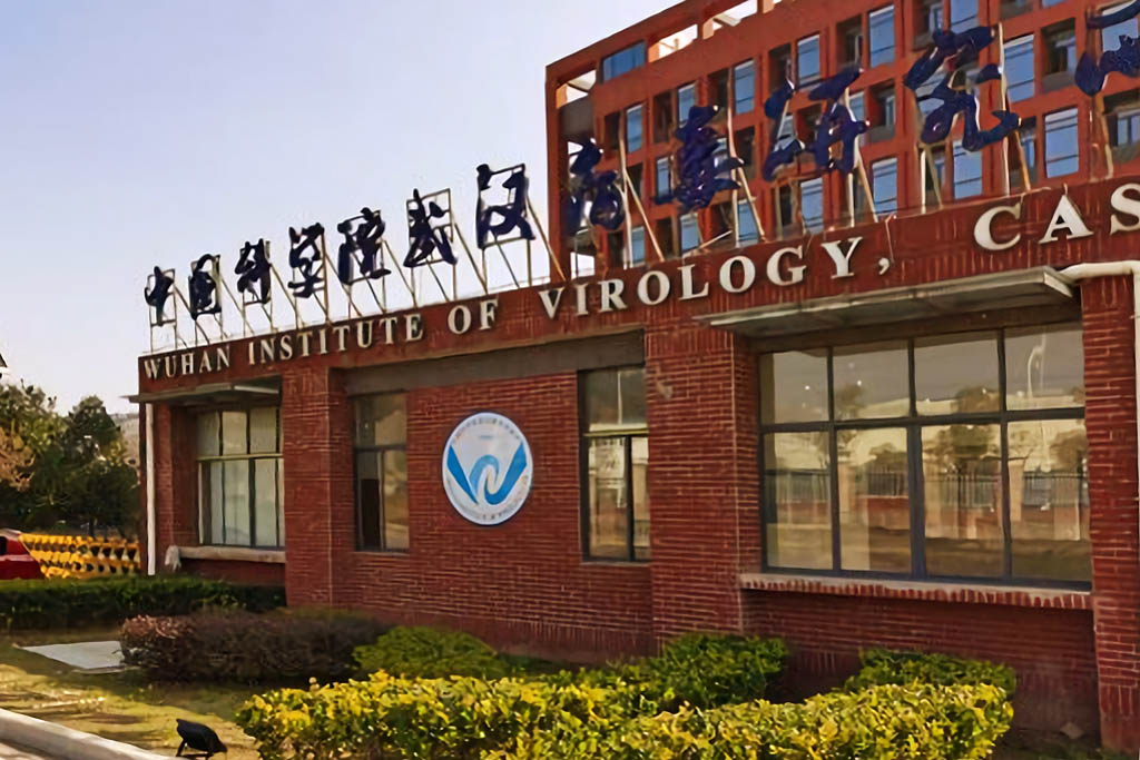 Wuhan Institute of Virology (Wikimedia)