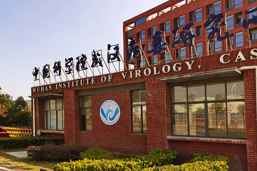 Het virologisch instituut van Wuhan (Wikimedia)