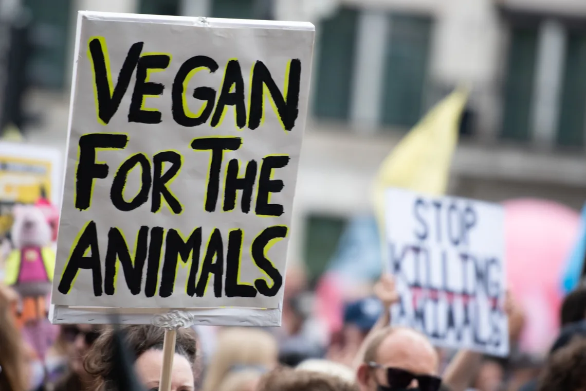 Voedselverspilling in Cambridge na flop met vegan maaltijden
