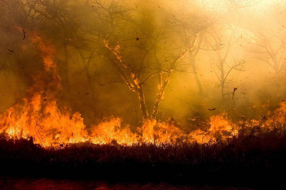 Spaanse politie arresteert man die 19 bosbranden zou hebben aangestoken in 2 jaar tijd