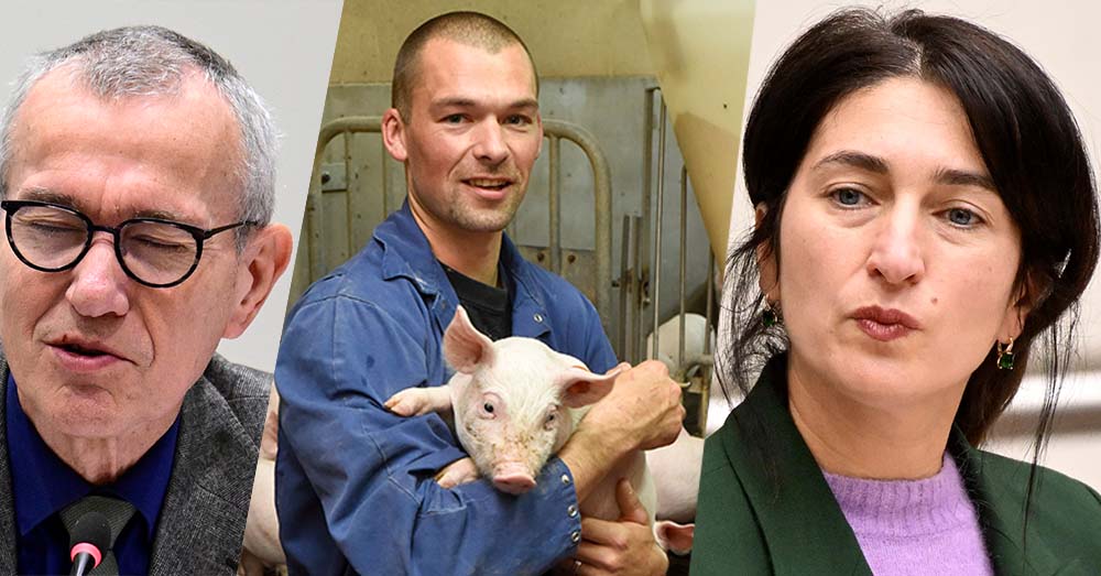 Demir verleidt varkensboeren, stikstofdecreet gestemd en Frank Vandenbroucke onder vuur – POLITIEK WEEKOVERZICHT
