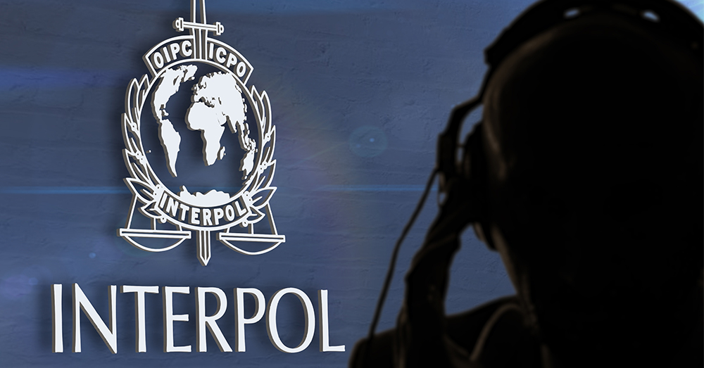 De 89 ‘Franse’ profielen op de Interpol-zoeklijst