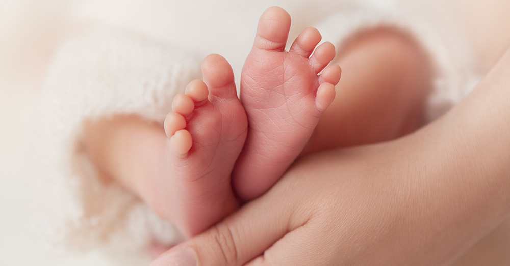 Vergeet wereldwijde kernoorlog of dodelijk virus: we sterven gewoon uit door eigen keuze