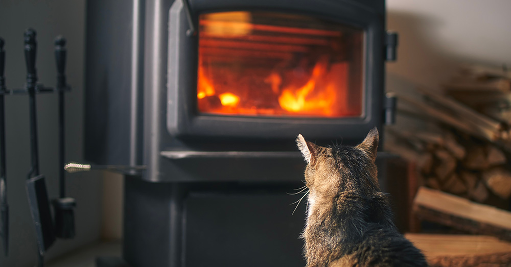 Houtstook in Vlaanderen: uitfasering oude kachels in de maak