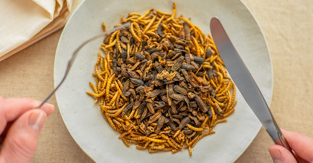 Ynsect vegan vlees. Foto Shutterstock