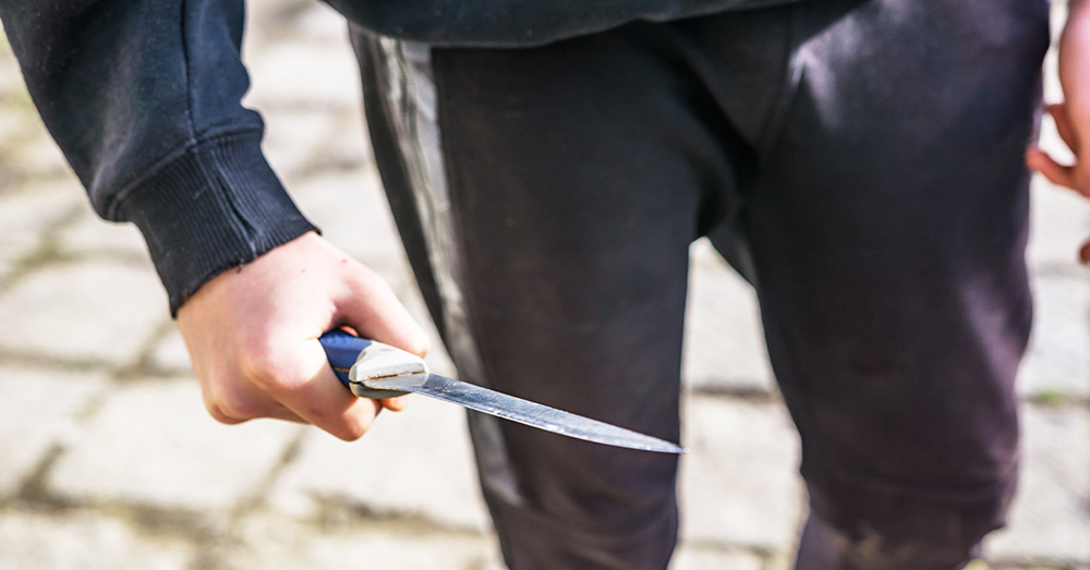 Na 1.500 strafbare feiten wordt minderjarige Weense crimineel (mogelijk) uitgewezen