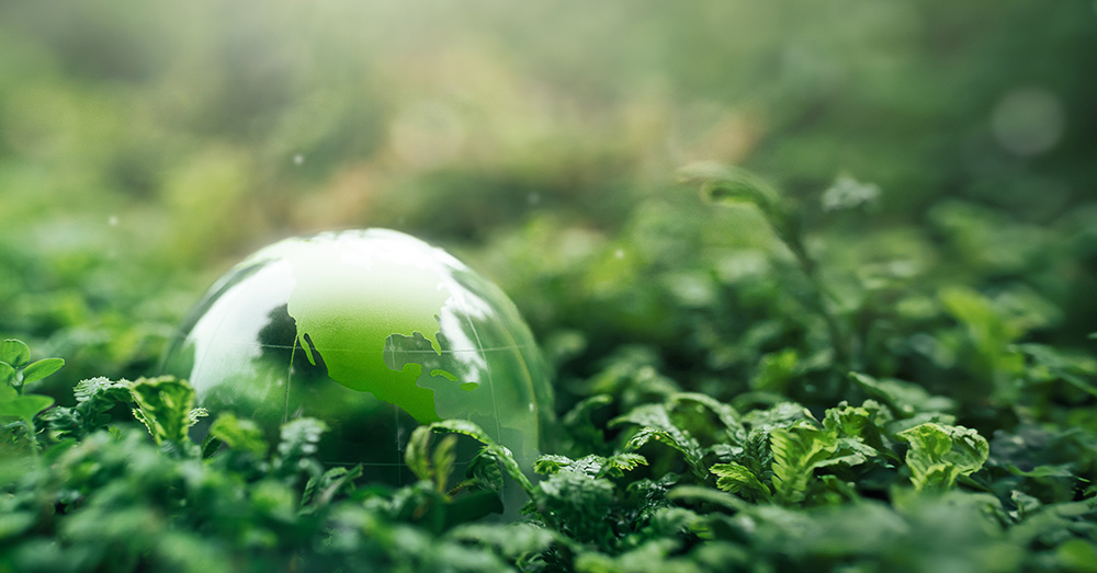 Europese Commissie is oneerlijk in bio-economiestrategie: "Cijfers bestaan enkel op papier"