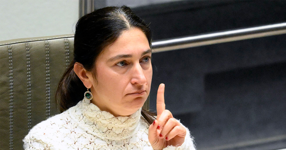 Zuhal Demir op ramkoers met sector dienstencheques (Photonews)