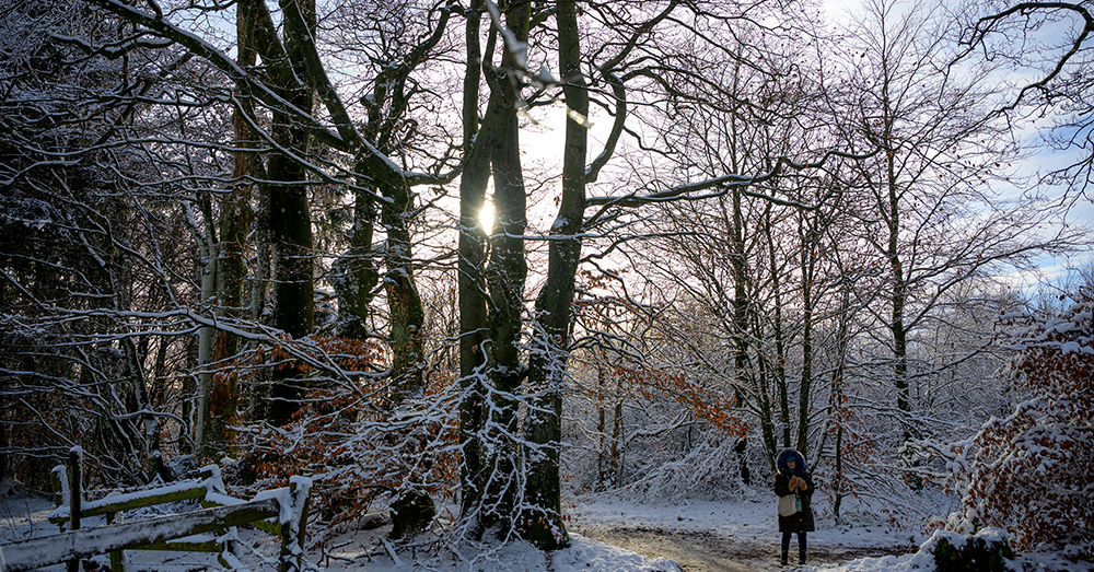 Illustratie van de Hoge Venen. Foto Shutterstock