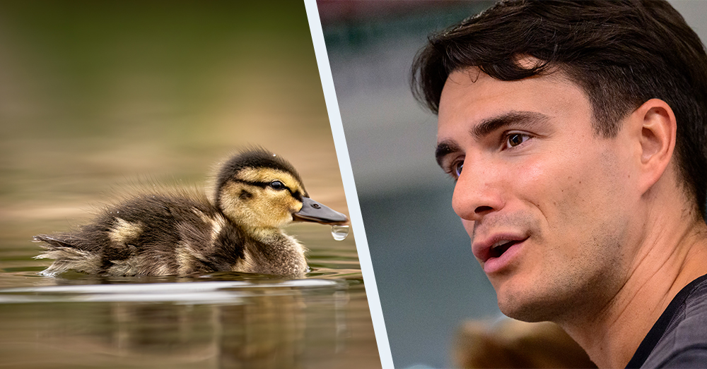 Conner Rousseau was mild voor de jongeren die eendjes neerklopten met een stok in Sint-Niklaas (Photonews:Shutterstock)