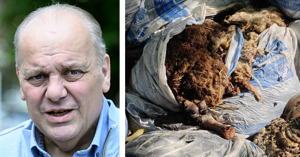 Guy d'Haeseleer sprak schande over het gedumpte slachtafval (Photonews:Facebook)