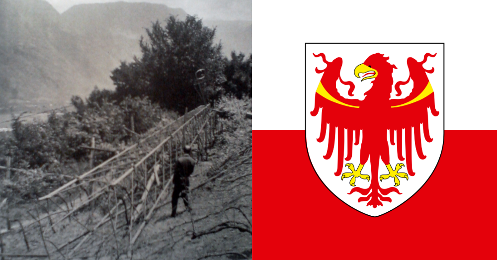 De vlag van Zuid-Tirol.