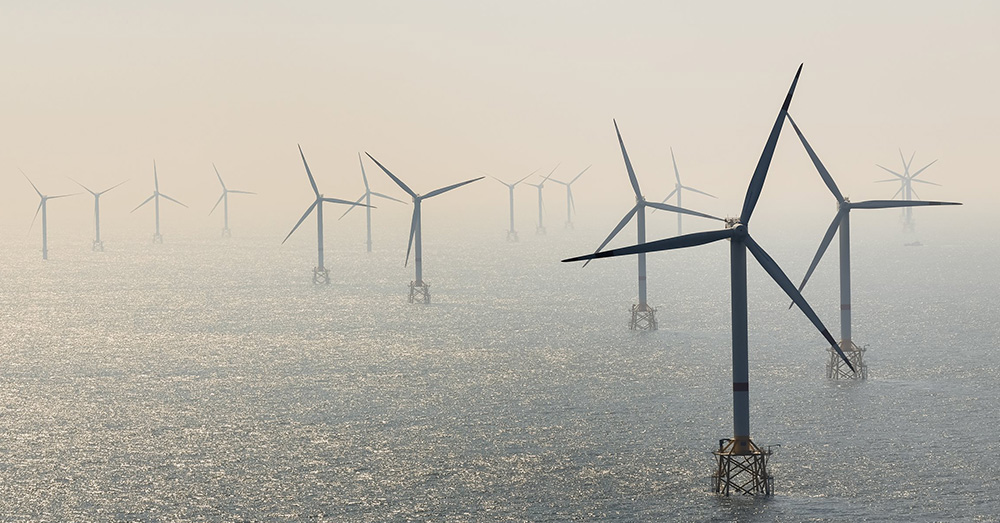 De Europese illusie van energie-onafhankelijkheid: "Beleg in aandelen van fokkerijen voor trekpaarden"