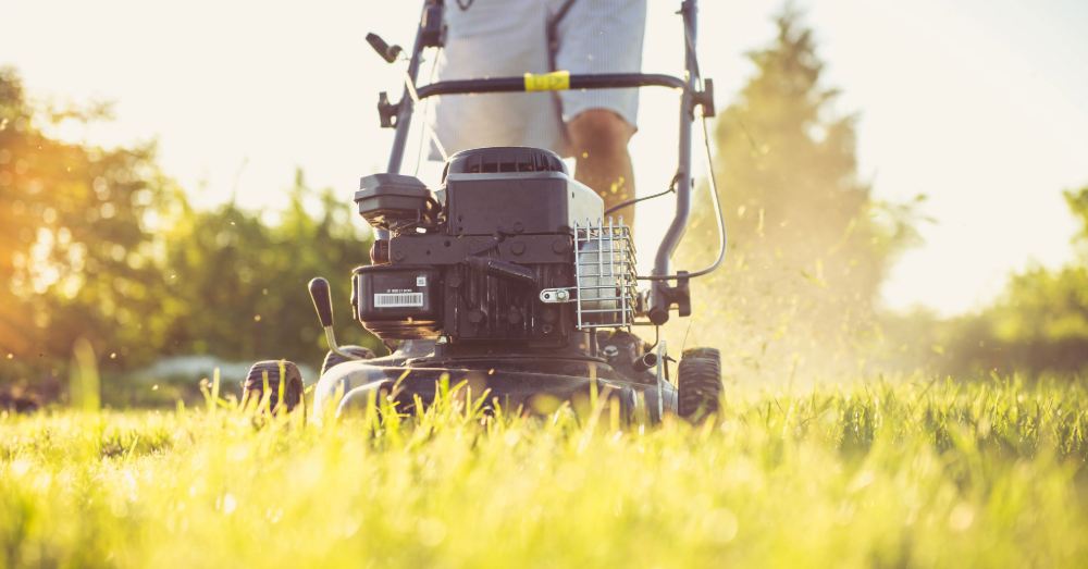 In Wallonië wordt onbestaand gras gemaaid. Foto: Pexels