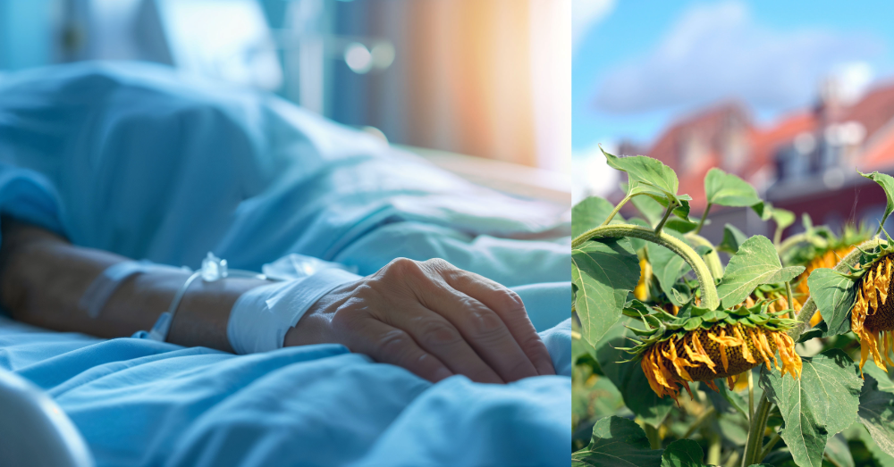 Airco in elke ziekenhuiskamer is een haalbare beleidsdoelstelling (Shutterstock)