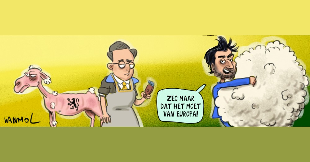 Cartoon van Vanmol met Bart De Wever die een schaap met de Vlaamse leeuw scheert